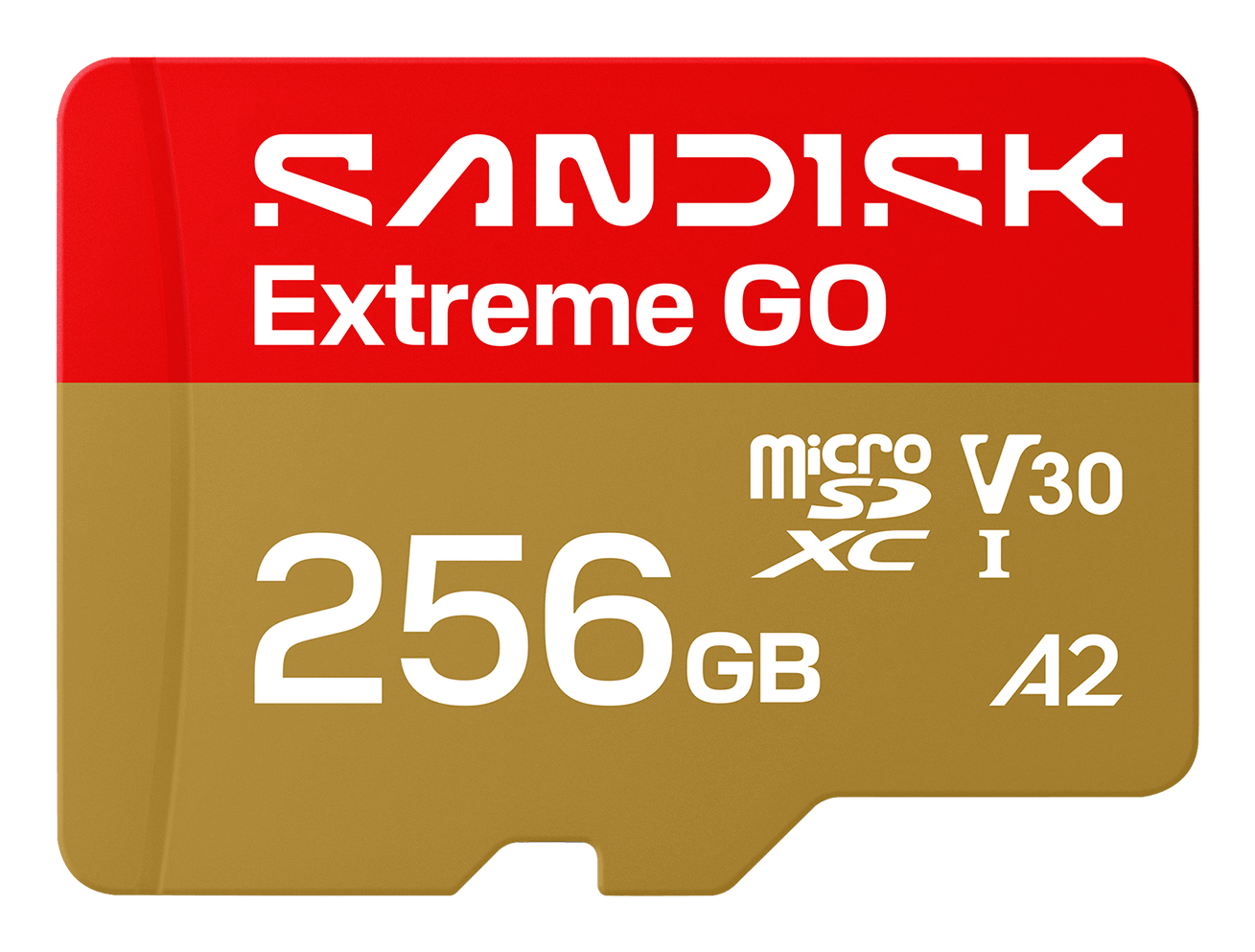 Extreme GO 256 GB MicroSDXC UHS-I