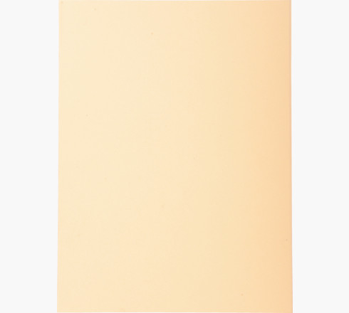 410002E carpeta Caja de cartón A4