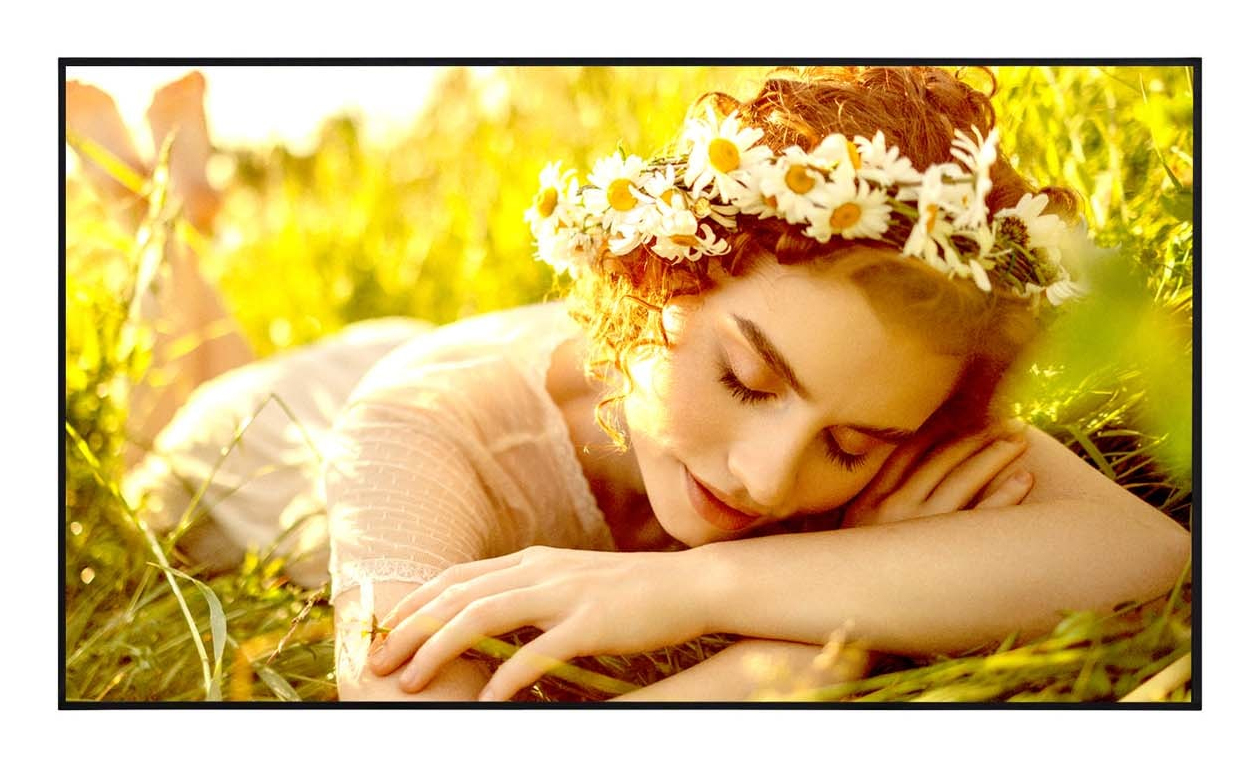 43UL5Q-E pantalla de señalización Pantalla plana para señalización digital 109,2 cm (43") LED Wifi 500 cd / m² 4K Ultra HD Negro WebOS 24/7