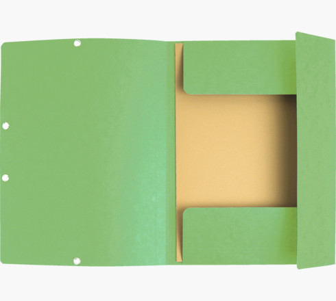 55513E carpeta Caja de cartón Verde A4