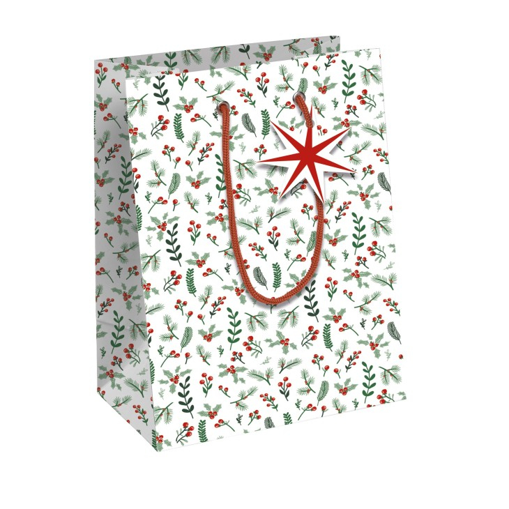 X-32820-3C papel de regalo Bolsa para regalos