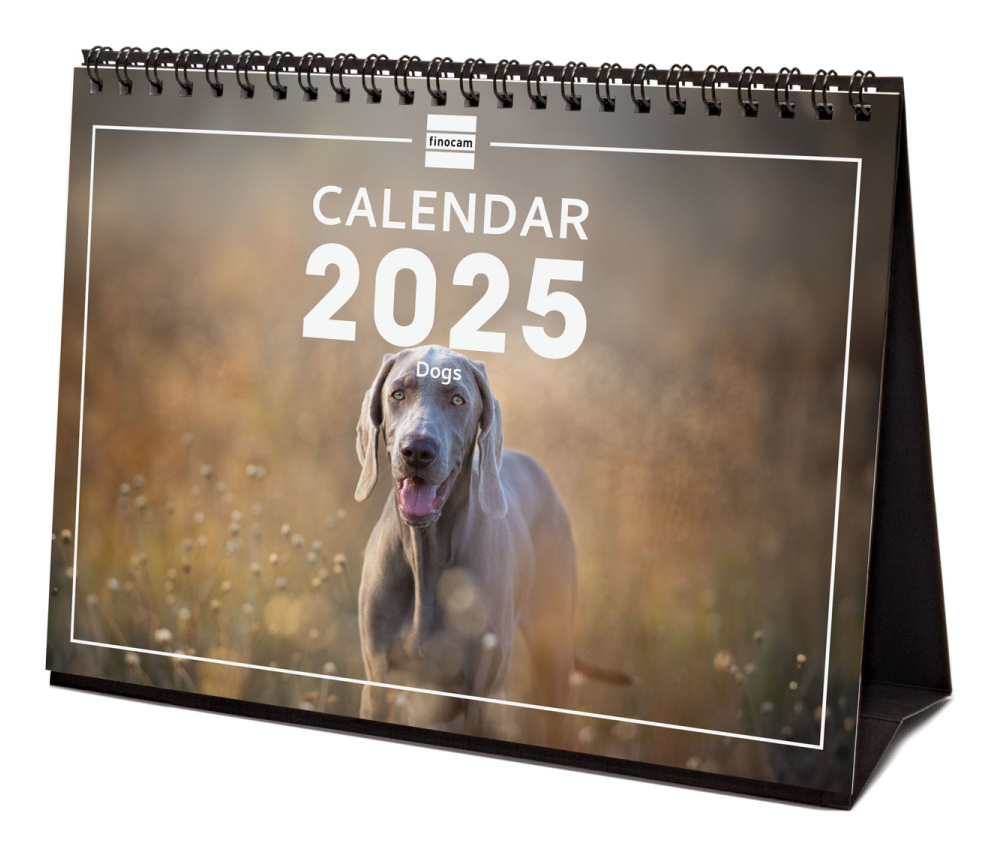 781245225 calendario Mesa