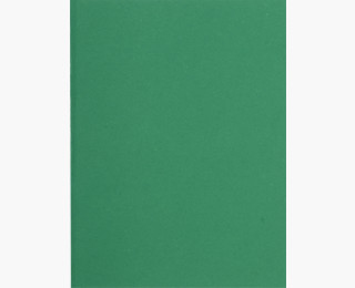 150004E carpeta Caja de cartón Verde A4