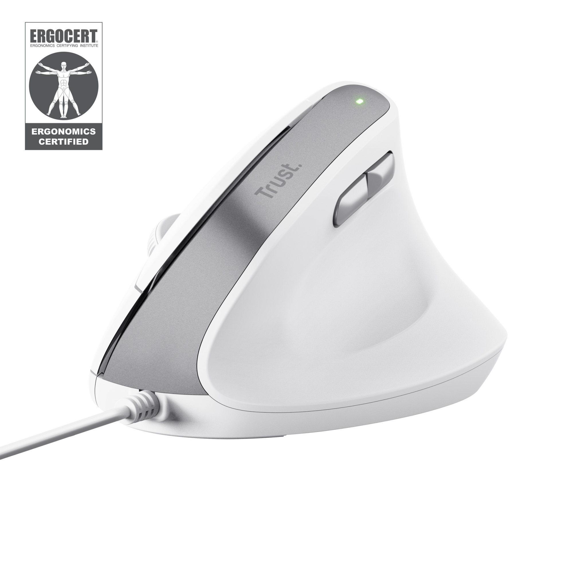 Bayo II ratón Oficina mano derecha USB tipo A Óptico 2400 DPI
