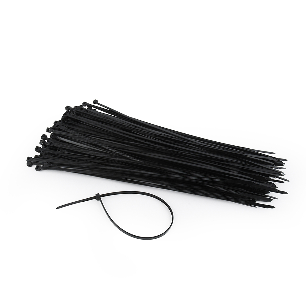 NYTFR-250X3.6 presilla Nylon Negro 100 pieza(s)