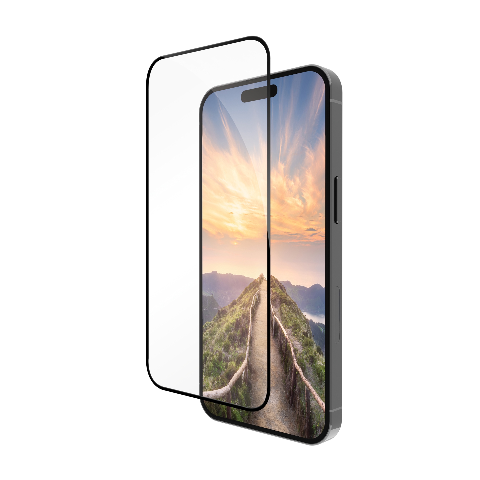 eco Bulk Protector de pantalla Apple 1 pieza(s)