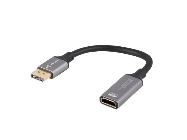 AD-DP-HD-02 adaptador de cable de vídeo 0,2 m DisplayPort HDMI Plata