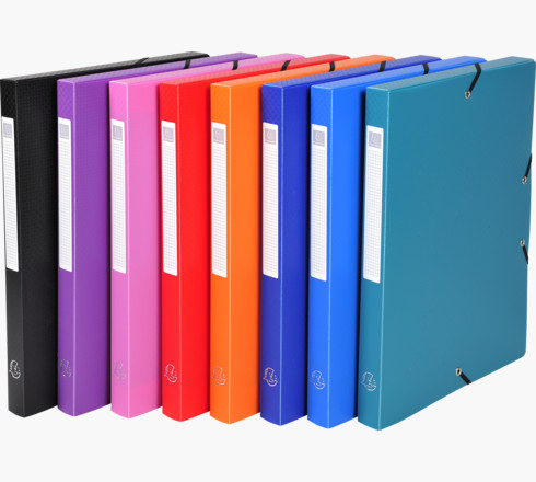 5960E archivador organizador Polipropileno (PP) Multicolor