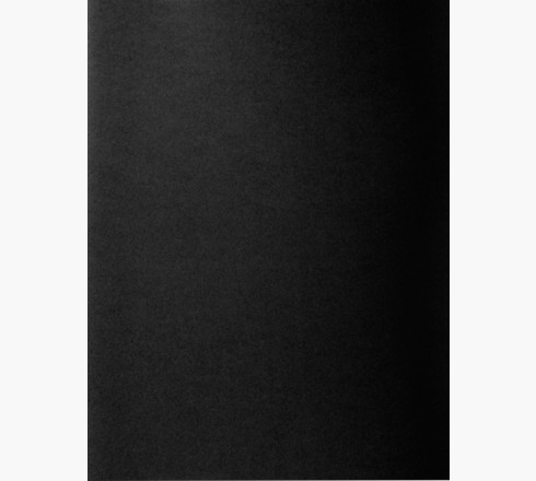 800018E carpeta Caja de cartón Negro A4