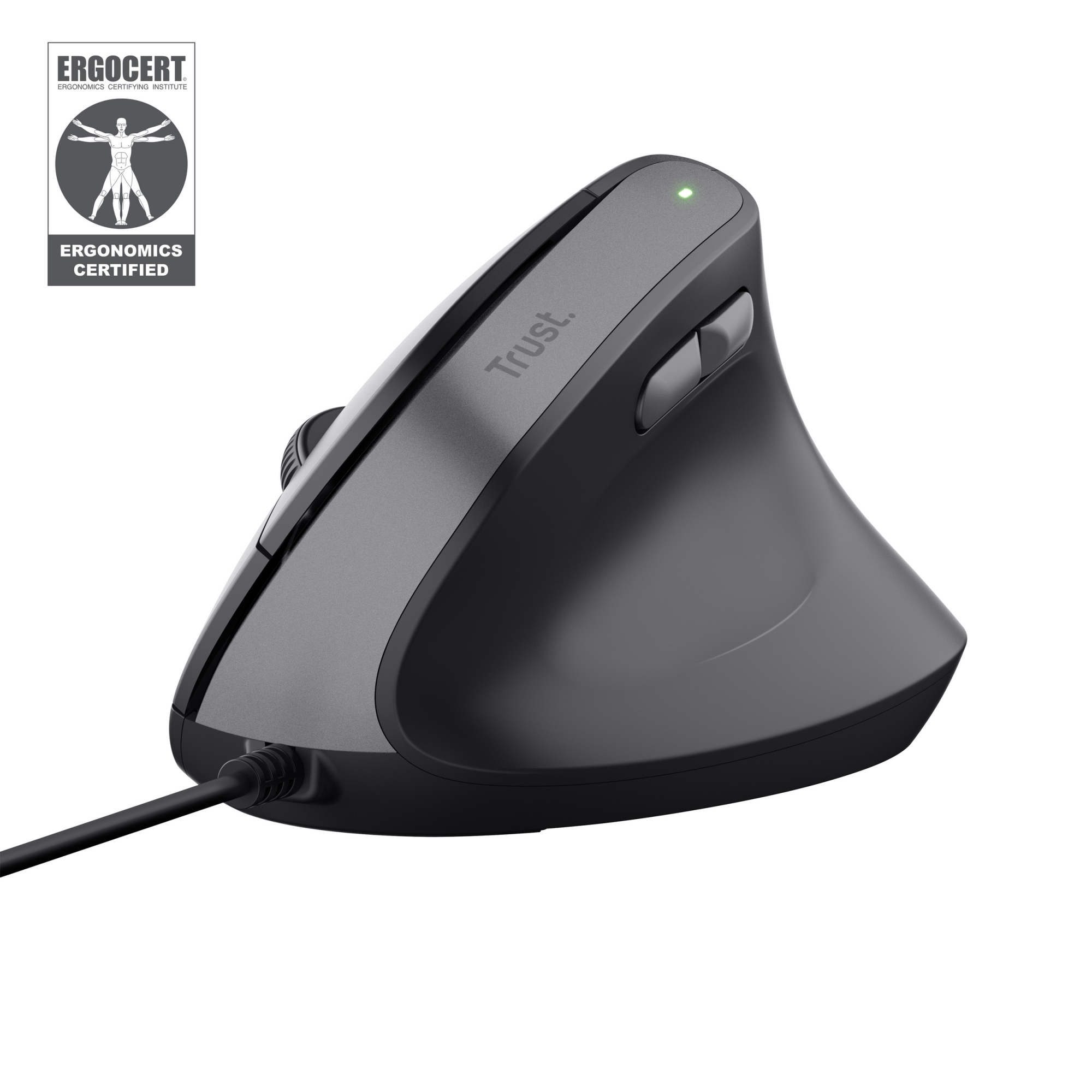 Bayo II ratón Mano derecha USB tipo A 2400 DPI
