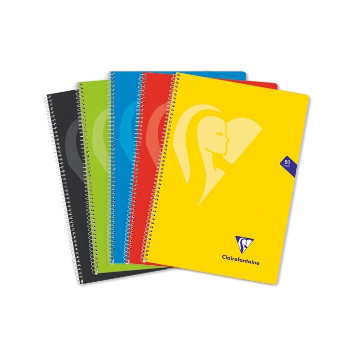 596953C cuaderno y block Colores surtidos