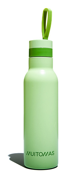 WBOTTLELC500GN termo 0,5 L Verde