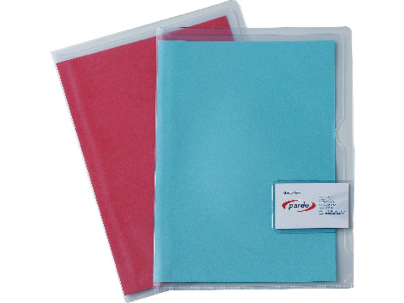 PAR DOSSIERS TARJETA EXTRA PVC315000 40 Piezas
